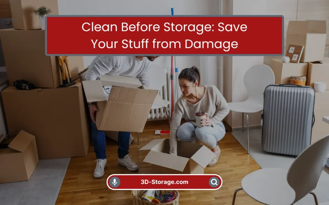 Clean Before Storage: Save Your Stuff from Damage (2025)