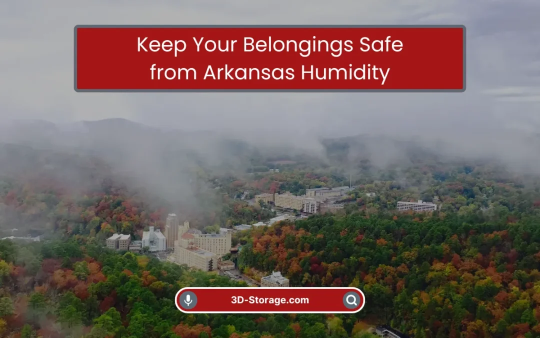 Keep Your Belongings Safe from Arkansas Humidity (2025)