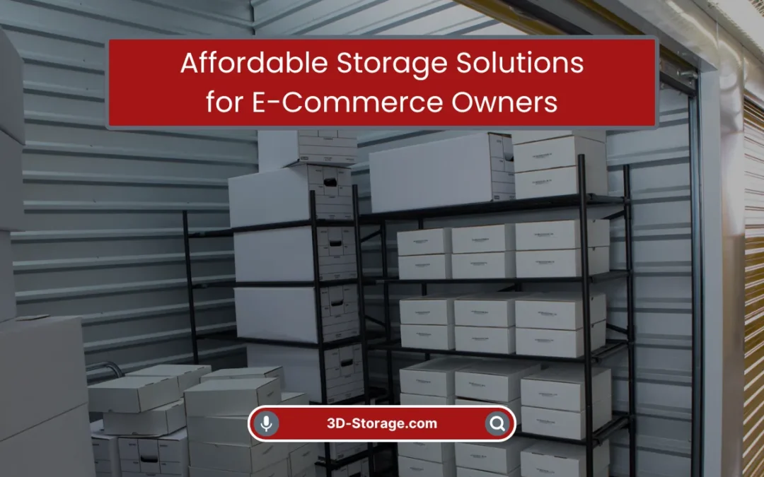 Affordable Storage Solutions for E-Commerce Owners (2025)